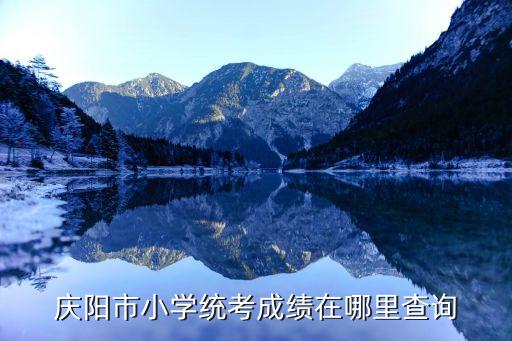 庆阳市小学统考成绩在哪里查询