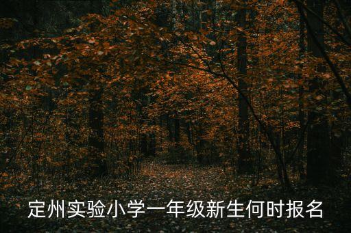 定州实验小学一年级新生何时报名
