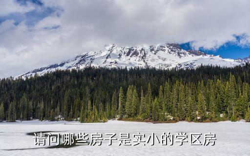 请问哪些房子是实小的学区房