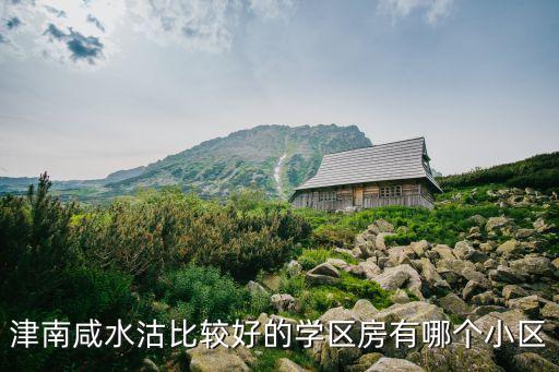 天津最好的学区房有哪些，津南咸水沽比较好的学区房有哪个小区