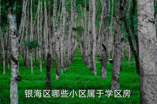 银海区哪些小区属于学区房