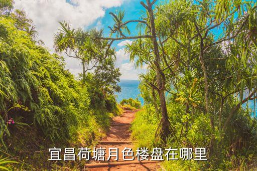 宜昌荷塘月色楼盘在哪里