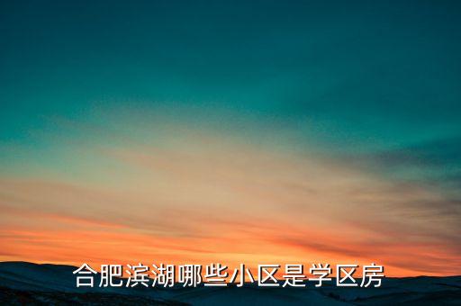 合肥滨湖哪些小区是学区房