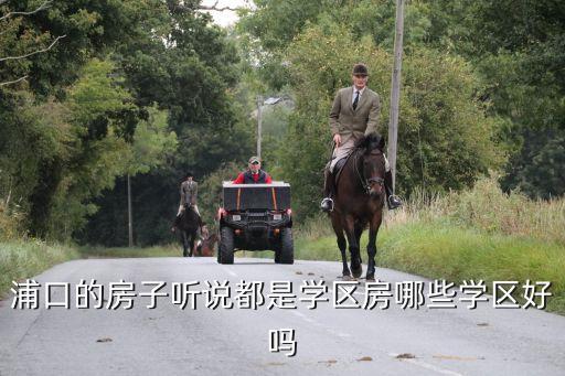 浦口的房子听说都是学区房哪些学区好吗