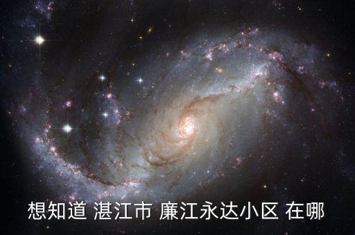 想知道 湛江市 廉江永达小区 在哪