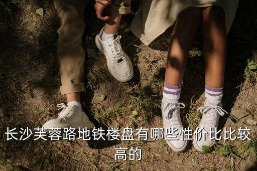 长沙芙蓉路地铁楼盘有哪些性价比比较高的
