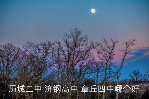 哪些学区房上章丘四中，历城二中 济钢高中 章丘四中哪个好