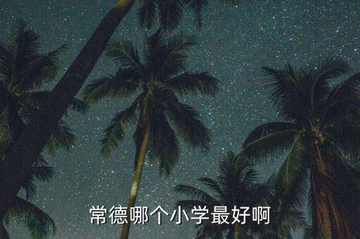 常德哪个小学最好啊