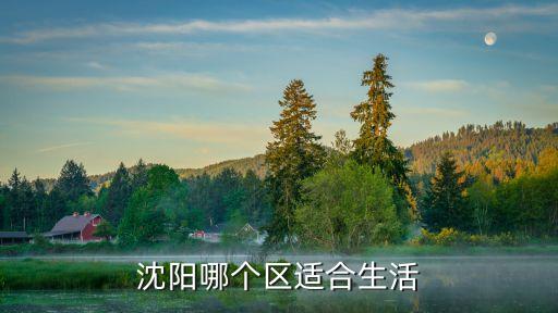 沈阳哪个区适合生活