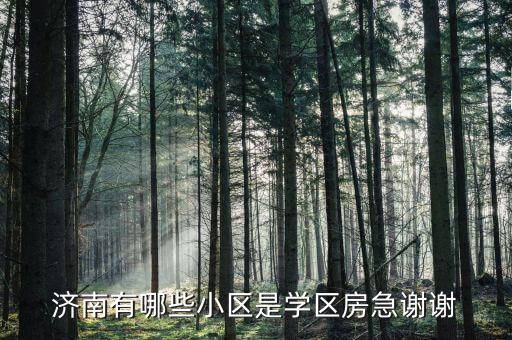 济南有哪些小区是学区房急谢谢