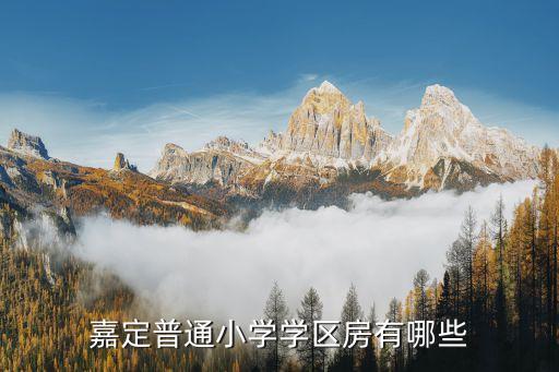 风雨山学校学区房有哪些，嘉定普通小学学区房有哪些