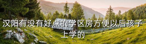 汉阳有哪些好的学区房，汉阳有没有好点的学区房方便以后孩子上学的