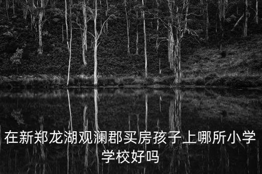 在新郑龙湖观澜郡买房孩子上哪所小学学校好吗