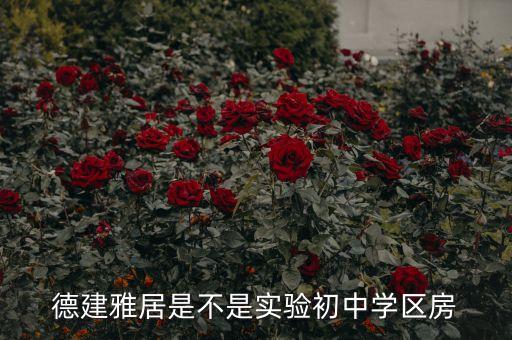 德建雅居是不是实验初中学区房
