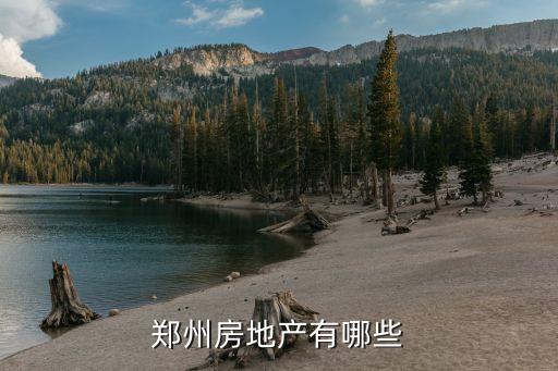 郑州房地产有哪些