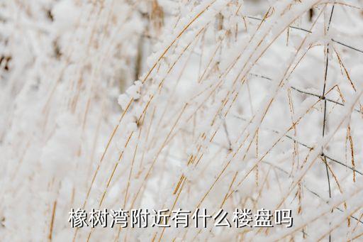 橡树湾附近有什么楼盘吗