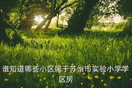 谁知道哪些小区属于苏州市实验小学学区房