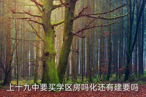 十九中的学区房有哪些，安徽阜阳泉水弯花园属于19中学区房吗