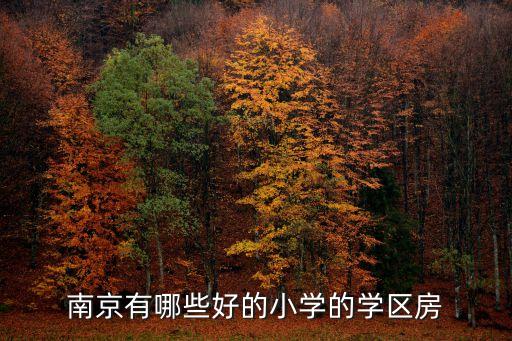 南京有哪些好的小学的学区房