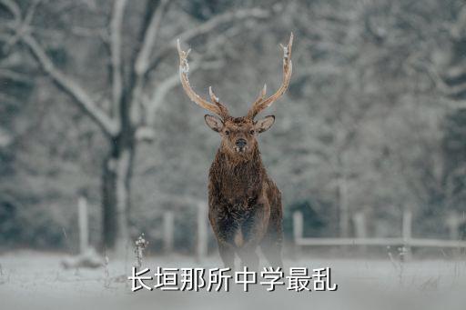 长垣那所中学最乱