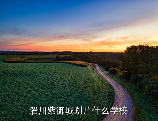淄川紫御城划片什么学校