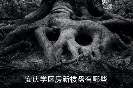安庆学区房新楼盘有哪些