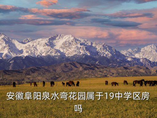 十九中学区房有哪些，安徽阜阳泉水弯花园属于19中学区房吗