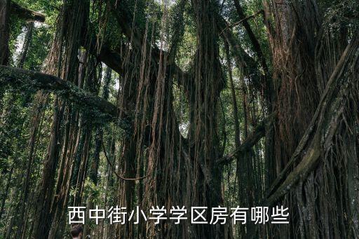 西中街小学学区房有哪些