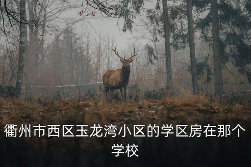 衢州市西区玉龙湾小区的学区房在那个学校