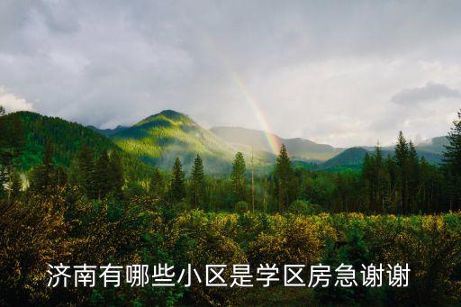 济南有哪些小区是学区房急谢谢