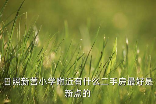 日照新营小学附近有什么二手房最好是新点的