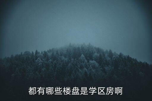 都有哪些楼盘是学区房啊