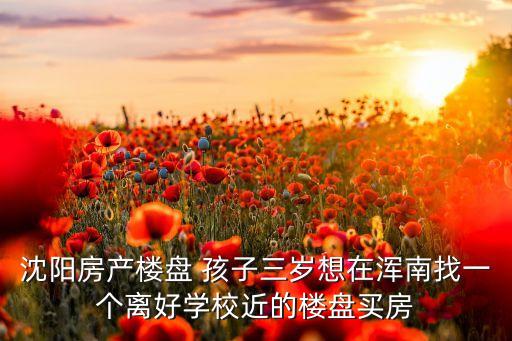 沈阳房产楼盘 孩子三岁想在浑南找一个离好学校近的楼盘买房