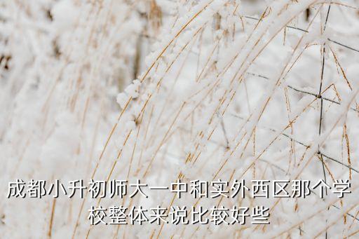 成都小升初师大一中和实外西区那个学校整体来说比较好些