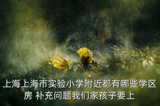 实验北学区房有哪些，上海上海市实验小学附近都有哪些学区房 补充问题我们家孩子要上
