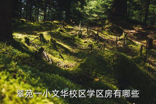 景洪市一小学学区房有哪些，哪些小区属于展览路第一小学学区房