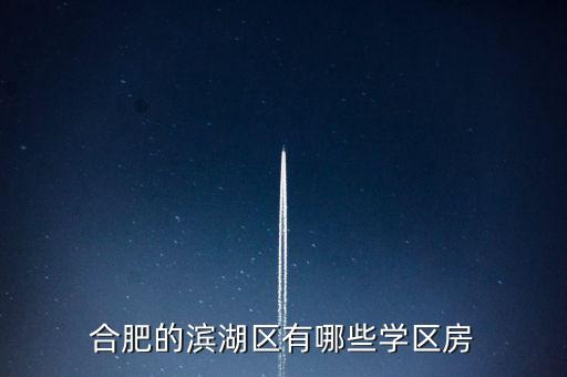 合肥的滨湖区有哪些学区房