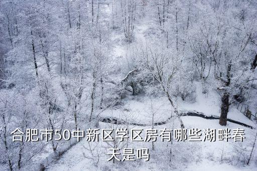 合肥市50中新区学区房有哪些湖畔春天是吗