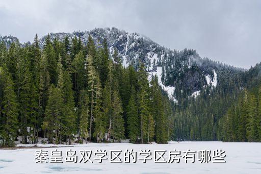 秦皇岛双学区的学区房有哪些