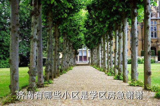济南有哪些小区是学区房急谢谢