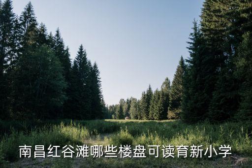 南昌农民公寓学区房有哪些，南昌有哪些老小区
