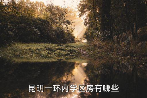 昆明一环内学区房有哪些
