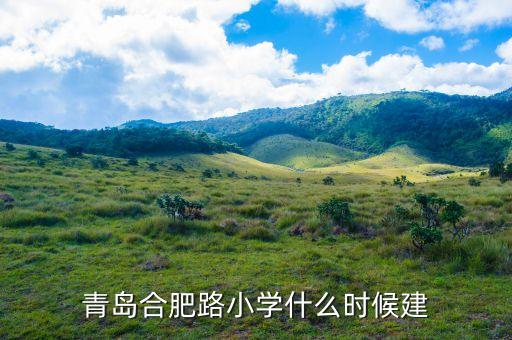 合肥公路局学区房有哪些，青岛合肥路小学什么时候建
