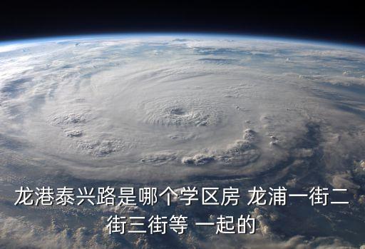 龙港泰兴路是哪个学区房 龙浦一街二街三街等 一起的