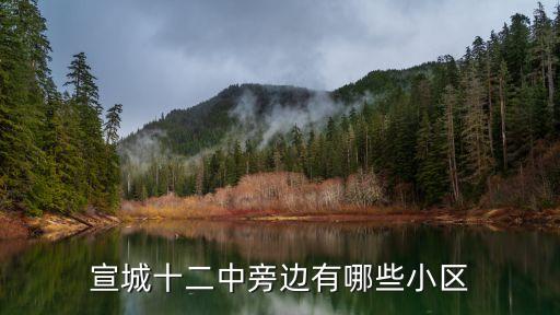 宣城十二中旁边有哪些小区