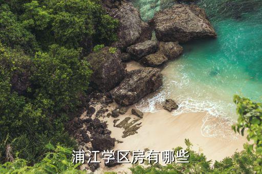 浦江学区房有哪些