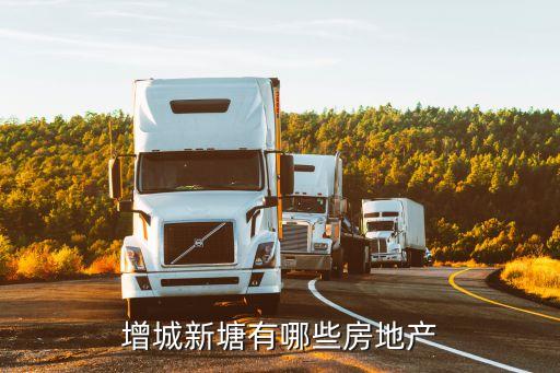 增城新塘有哪些房地产