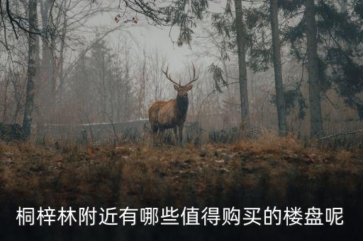 桐梓林附近有哪些值得购买的楼盘呢