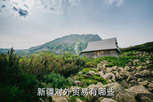 新疆对外贸易有哪些