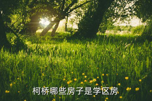 西田公寓有哪些学区房，柯桥哪些房子是学区房